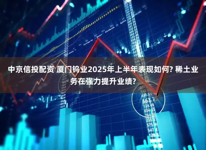 中京信投配资 厦门钨业2025年上半年表现如何? 稀土业务在强力提升业绩?