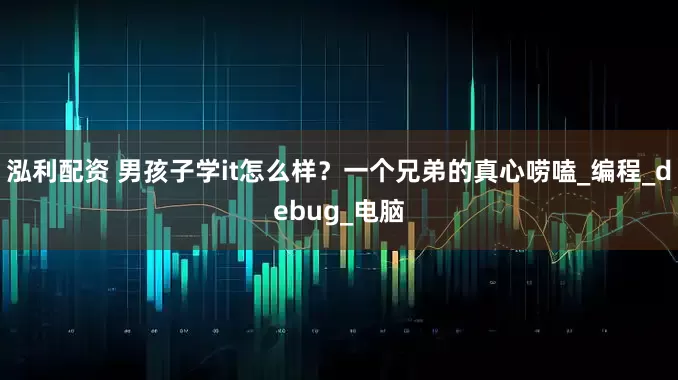 泓利配资 男孩子学it怎么样？一个兄弟的真心唠嗑_编程_debug_电脑